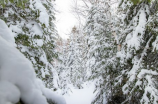 甘肃下雪(甘肃下雪量纪录，这次雪会对交通造成什么影响？)