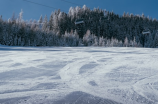 冬奥钞: 冰雪运动的经济助推器